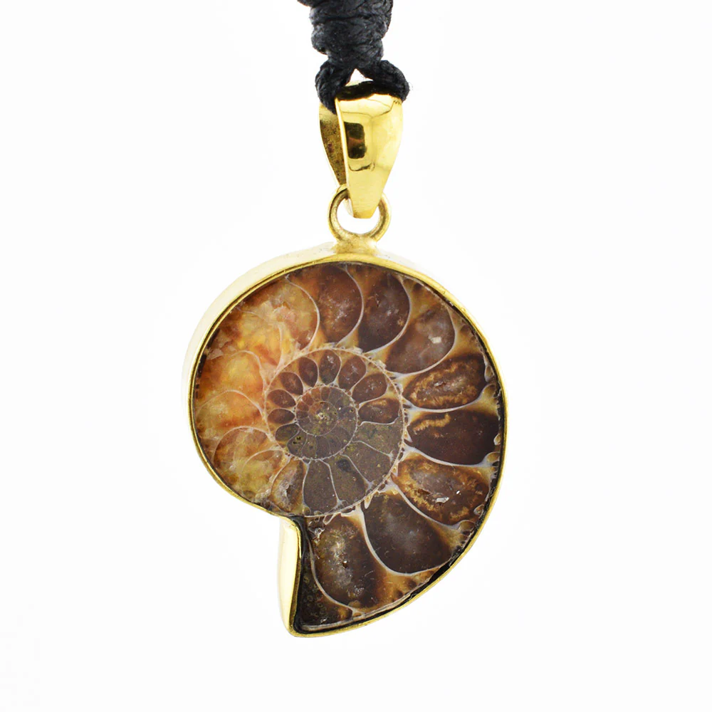 Ammonite Pendant - Image 3