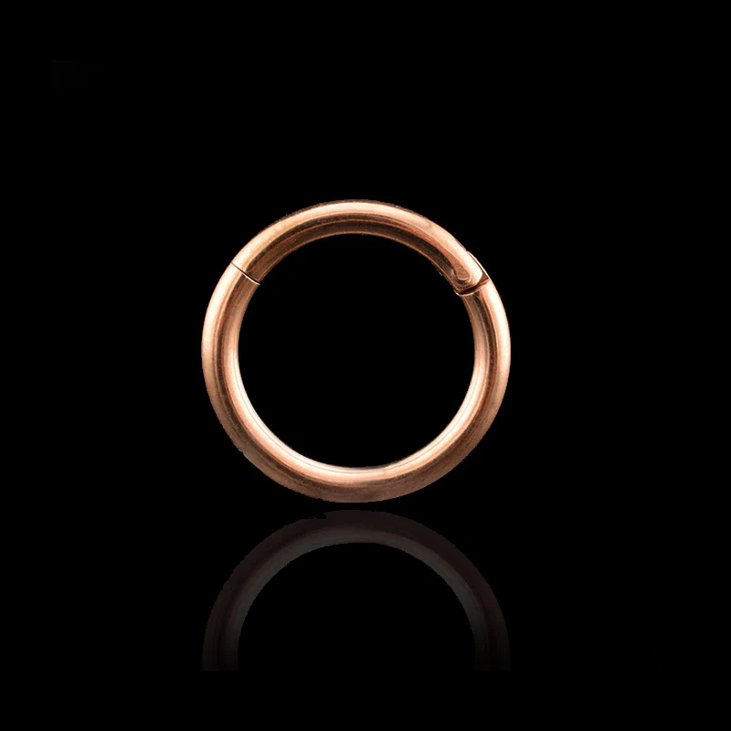 Titanium Hinged Segment Ring in Rose Gold