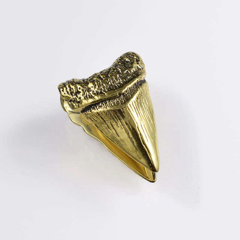 Megalodon Shark Tooth Ear Weights - Image 3