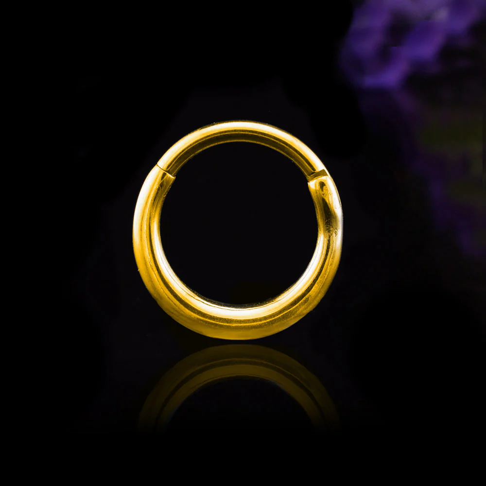 Simple Hinged Segment Ring in Gold