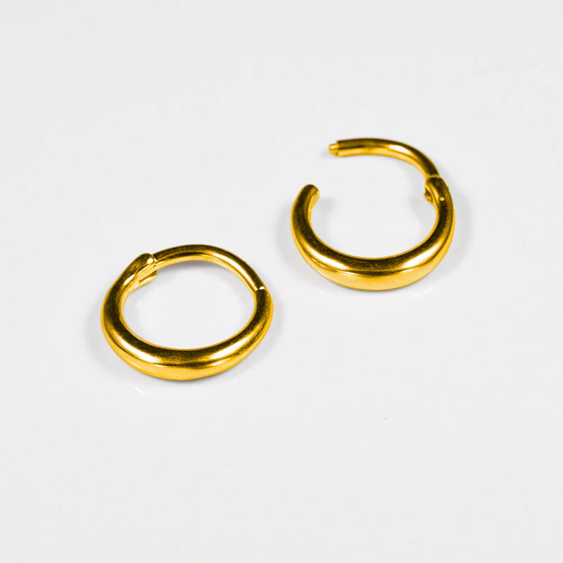 Simple Hinged Segment Ring in Gold - Image 2